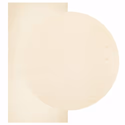 vidaXL Rug Short Pile Soft and Washable Floor Mat Area Rug Bedroom Carpet - cream, 100 x 200 cm - Additional view 2