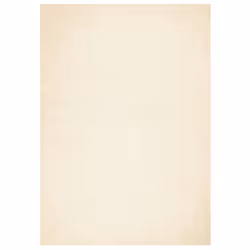 vidaXL Rug Short Pile Soft and Washable Floor Mat Area Rug Bedroom Carpet - cream, 200 x 280 cm