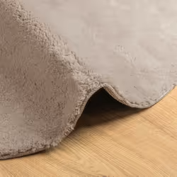 vidaXL Rug Short Pile Soft and Washable Floor Mat Area Rug Bedroom Carpet - sand, 100 cm - Additional view 5