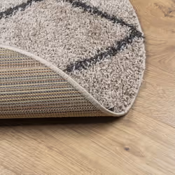 vidaXL Shaggy Rug Floor Mat Fluffy Rug Area Rug PAMPLONA High Pile Modern - beige and anthracite, 100 cm - Additional view 4