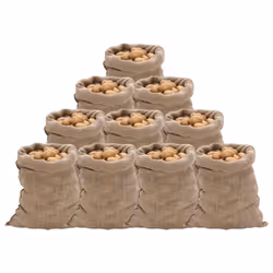 vidaXL Jute Sacks Jute Bag Burlap Bag Hessian Bag 5 pcs 100% Jute 220 gsm - 60 x 105 cm/ 10 pcs