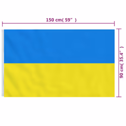 vidaXL Ukraine Flag with Brass Grommets Flagpole Festival National Flag Banner