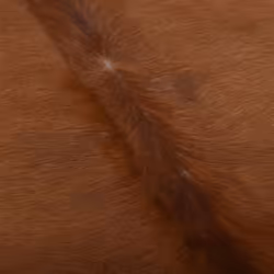 vidaXL Real Cowhide Rug Area Rug Cowhide Carpet Bedroom Mat Home Accent Rug - brown and white