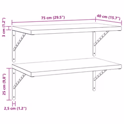 vidaXL Wall Shelves Floating Shelf Storage Shelf 2 pcs Silver Stainless Steel