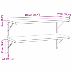 vidaXL Wall Shelves Floating Shelf Storage Shelf 2 pcs Black Stainless Steel