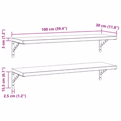 vidaXL Wall Shelves Floating Shelf Storage Shelf 2 pcs Black Stainless Steel
