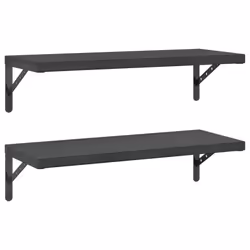 vidaXL Wall Shelves Floating Shelf Storage Shelf 2 pcs Black Stainless Steel