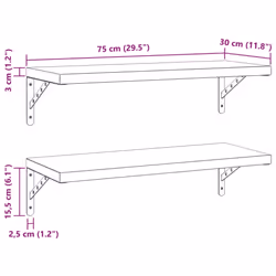 vidaXL Wall Shelves Floating Shelf Storage Shelf 2 pcs Black Stainless Steel