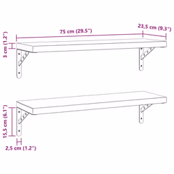 vidaXL Wall Shelves Floating Shelf Storage Shelf 2 pcs Black Stainless Steel