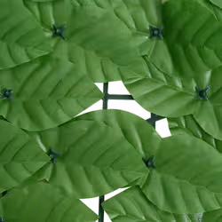 VidaXL 367844 patio umbrella Green - Additional view 5