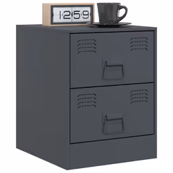 VidaXL 841624 nightstand/bedside table Anthracite