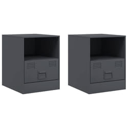 VidaXL 841756 nightstand/bedside table Anthracite