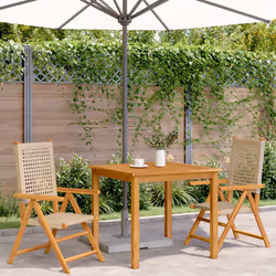 VidaXL 367653 outdoor chair Terrace Acacia wood, Polyrattan Beige