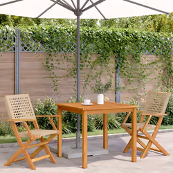 VidaXL 367665 outdoor chair Terrace Acacia wood, Polyrattan Beige