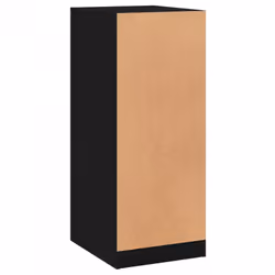 vidaXL Wardrobe Organiser Bedroom Closet Clothes Storage Shelf Engineered Wood - black, 48x41x102 cm/10 kg - Additional view 6