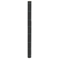 vidaXL Weed Membrane Weed Barrier Fabric Weed Control Cover Black 1.5x200 m PP