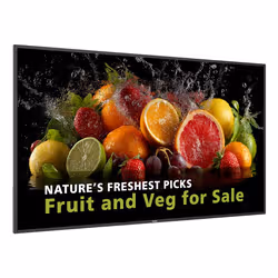 Philips 5000 series 75BDL5050D/00 Signage Display 190.5 cm (75") LCD Wi-Fi 600 cd/m² Full HD Black Built-in processor Android - Additional view 2