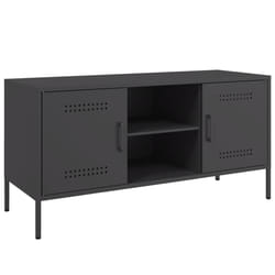 VidaXL 842988 TV cabinet/entertainment centre