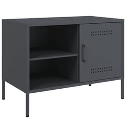 VidaXL 842999 TV cabinet/entertainment centre