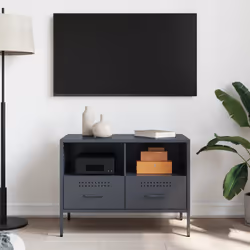 VidaXL 843046 TV cabinet/entertainment centre