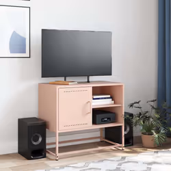 VidaXL 846519 TV cabinet/entertainment centre