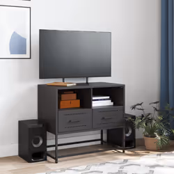 VidaXL 846548 TV cabinet/entertainment centre