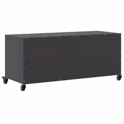 VidaXL 846662 TV cabinet/entertainment centre - Additional view 8