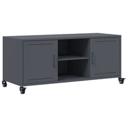 VidaXL 846664 TV cabinet/entertainment centre