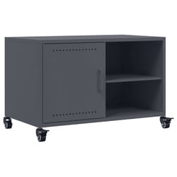 VidaXL 846670 TV cabinet/entertainment centre