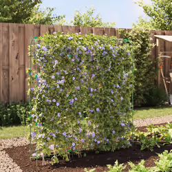 vidaXL Garden Trellis for Climbing Plants U-Shape Climbing Plant Support Steel