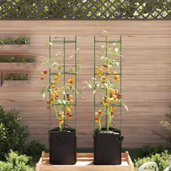 vidaXL Tomato Cages Garden Climbing Plant Support Tomato Support Steel and PP - with bag, 154 cm/ 2 pcs