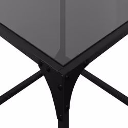 vidaXL Coffee Table with Transparent Glass Top Accent Table Side Table Steel - black, 40 x 40 x 40 cm/ 2 pcs - Additional view 7
