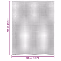 vidaXL Tent Carpet Cream 4x2.5 m camping ground mat rug underlay camping rug