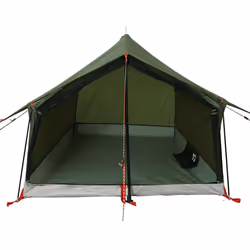 vidaXL Camping Tent 2 Persons Outdoor Lightweight Tent Dome Tent Waterproof - olive green - Additional view 5