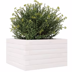 vidaXL Garden Planter Outdoor Flower Pot Planter Pot White Solid Wood Pine - Additional view 3