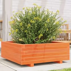 vidaXL Garden Planter Wax Brown 70x70x26.5 cm Solid Wood Pine