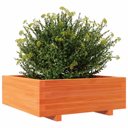 vidaXL Garden Planter Wax Brown 70x70x26.5 cm Solid Wood Pine