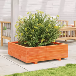 vidaXL Garden Planter Outdoor Flower Pot Planter Pot Wax Brown Solid Wood Pine