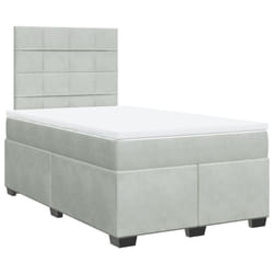 vidaXL Box Spring Bed with Mattress Bed Base Light Grey 120x200 cm Velvet