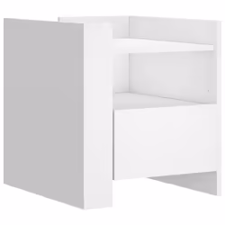 VidaXL 848276, White, Wood, 50 kg, 5 kg, 450 mm, 500 mm