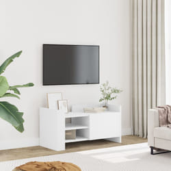VidaXL 848367 TV cabinet/entertainment centre