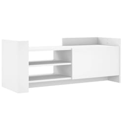 VidaXL 848374 TV cabinet/entertainment centre