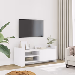 VidaXL 848374 TV cabinet/entertainment centre
