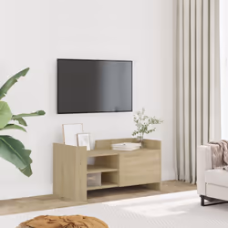 VidaXL 848376 TV cabinet/entertainment centre