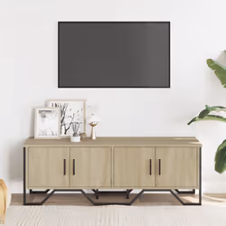 VidaXL 848585 TV cabinet/entertainment centre