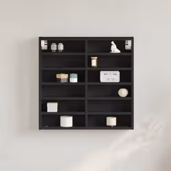 VidaXL 847962 shelve Wood Black