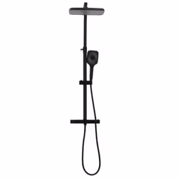 vidaXL Dual Head Shower Set with Mixer and Hose Shower Mixer Set Black Brass