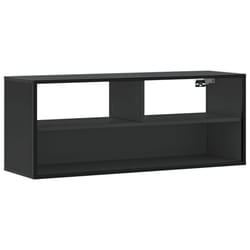 VidaXL 848934 TV cabinet/entertainment centre