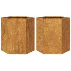 vidaXL Garden Planters Plant Pot Flower Box 2 pcs Hexagon Weathering Steel