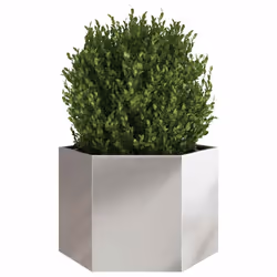 vidaXL Garden Planter Outdoor Flower Pot Planter Pot Hexagon Stainless Steel